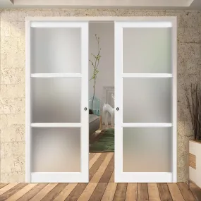 Bespoke Handmade Eco-Urban® Manchester 3 Pane Double Evokit Pocket Door DD6306SG - Frosted Glass - Colour Options