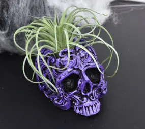 Liquid Sculpey®  Skull Planter